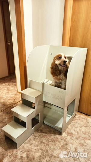 Изготовление Мойки для домашних животных