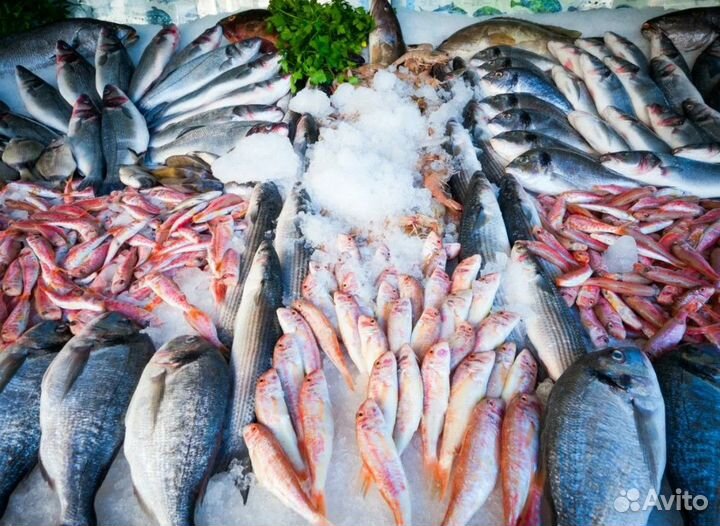 Свежемороженая рыба в ассортименте