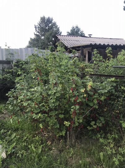 Дача 40 м² на участке 13 сот.