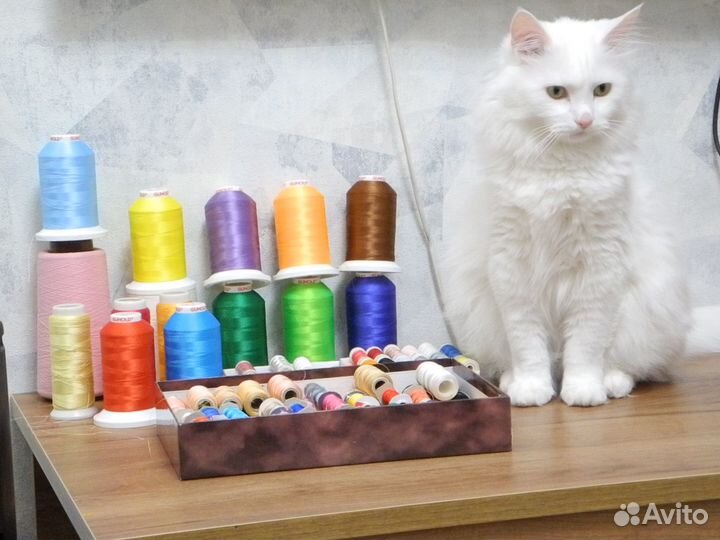 Вышивальная машина janome memory craft 9900