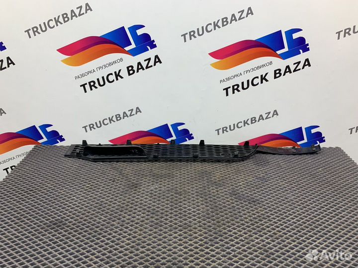 Сетка решетки радиатора правая