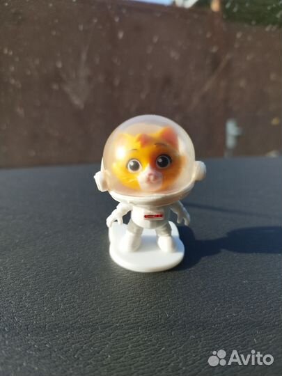 Обменяю (44 котенка) Космо повторка 1шт