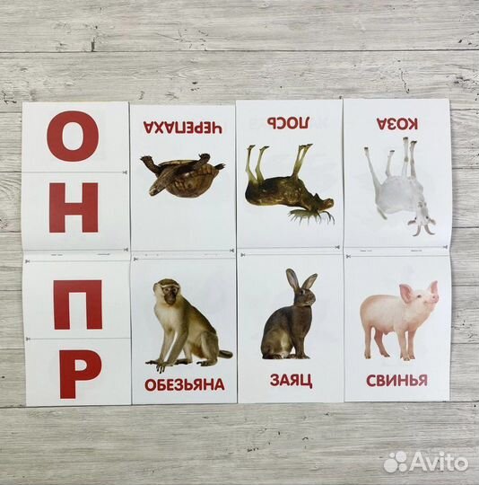 Развивающие карточки по методике Домана