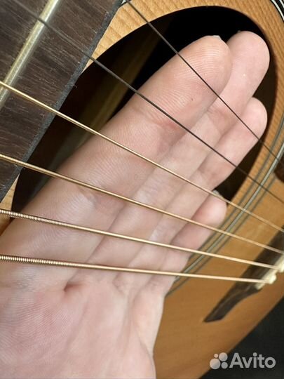 Акустическая гитара cort новая