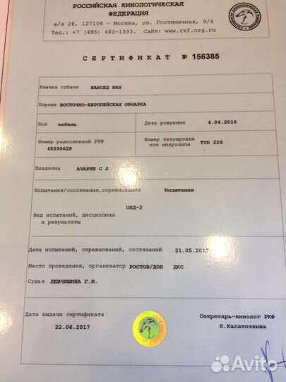 Восточноевропейская овчарка