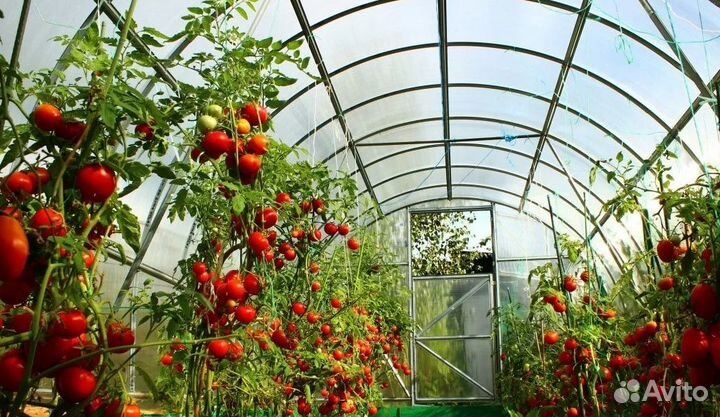 Сотрудник(ца) на тепличный комплекс