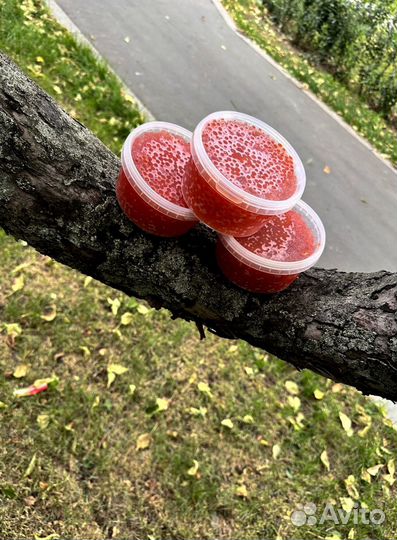 Красная икра кеты 2023г в наличии