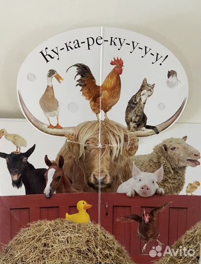 Мэтью Ван Флит 