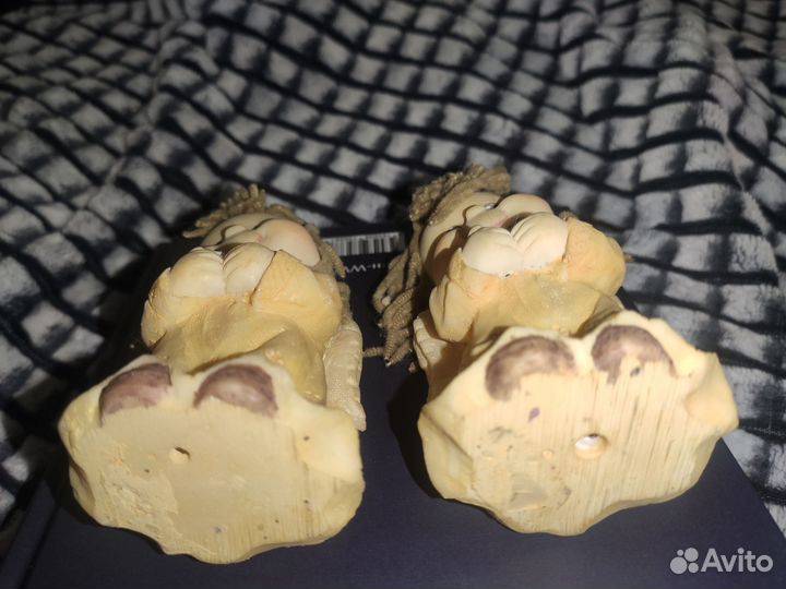 Милые ангелочкии