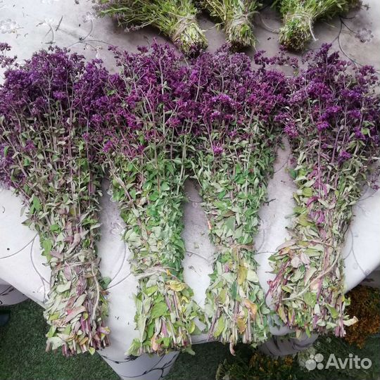 Зверобой, душица