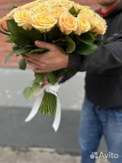 Розы Голландские свежие Букет 51 роза