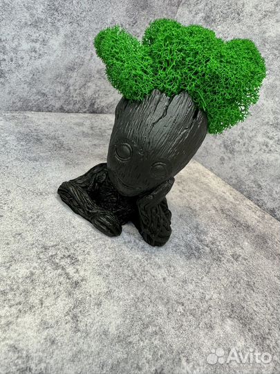 Кашпо со стабилизированным мхом