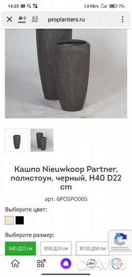 Новые Кашпо Голландия