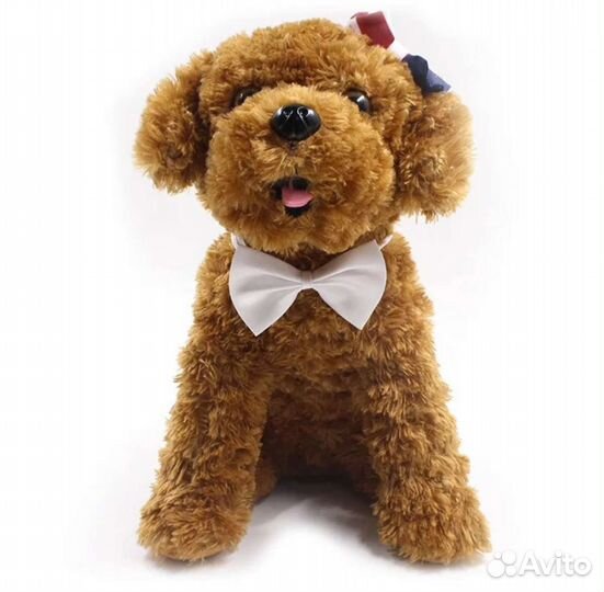 Галстук бабочка для собаки