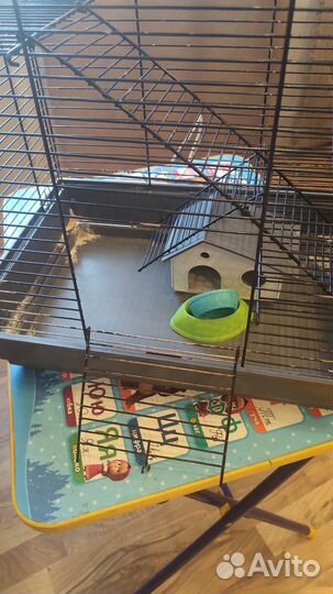 Клетка для сирийского хомяка