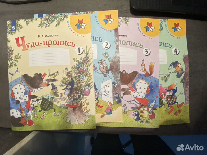 Рабочие тетради 1 класс школа россии