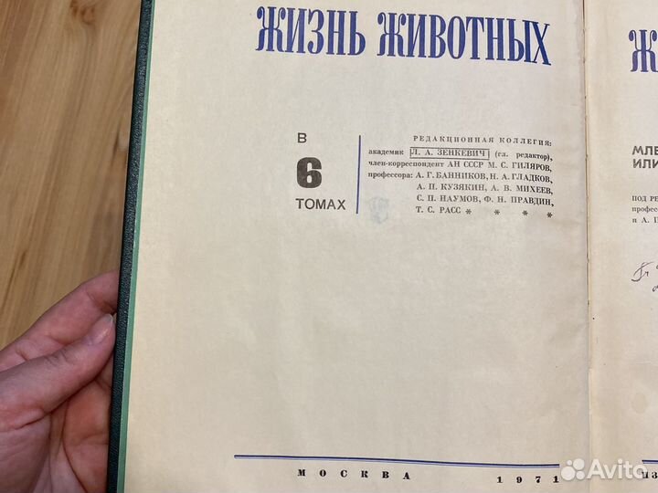Энциклопедия
