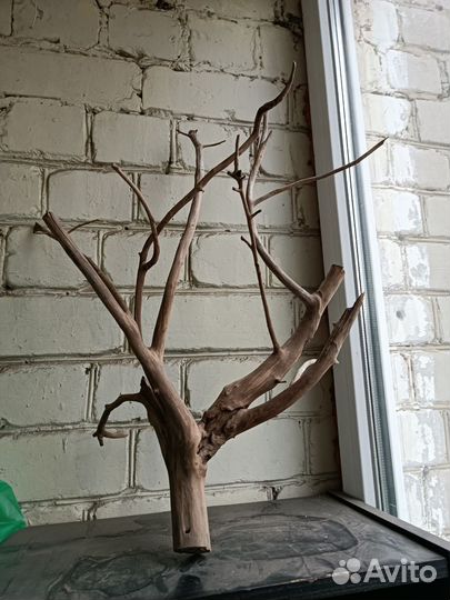 Коряга в аквариум большая