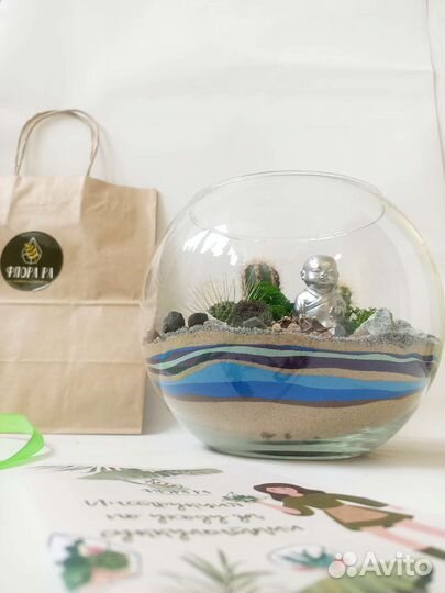 Флорариум стеклянный шар с кактусами