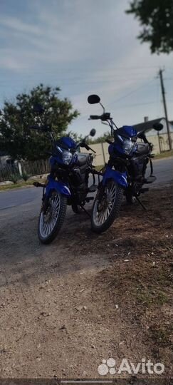 Альфа 13 V125