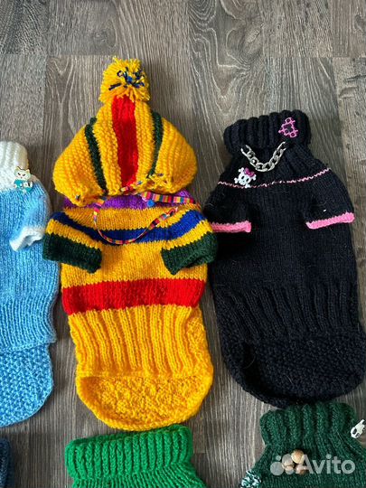 Одежда для животных