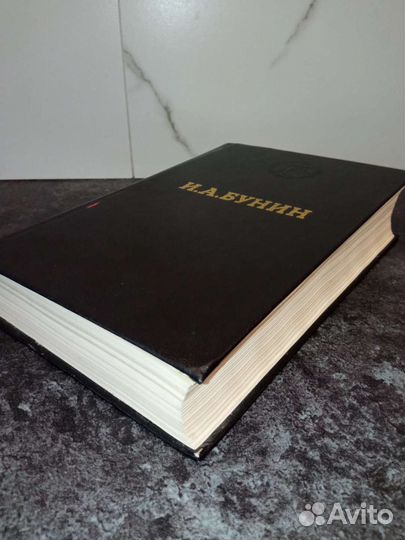 И. Бунин Тёмные аллеи. Избранные произведения