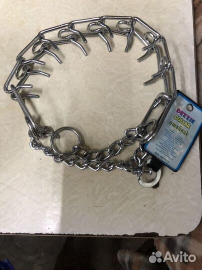 Строгий ошейник