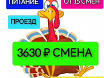 Упаковщики Вахта 15смен Отправка/питание бесплатно