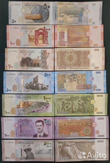 Набор банкнот Сирии