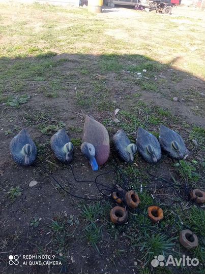 Утки подсадные для охоты