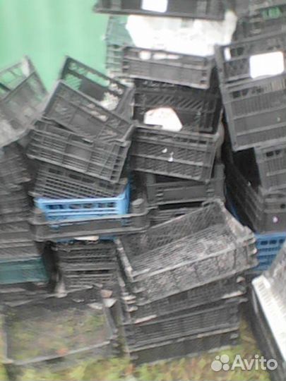 Пластиковые ящики для овощей бу