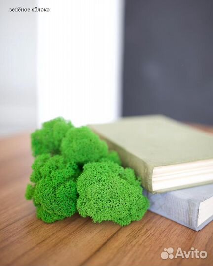 Стабилизированный мох