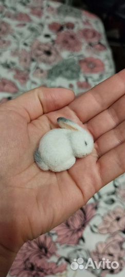 Брошь из овечьей шерсти, валяные игрушки