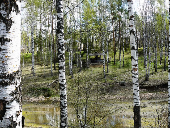 Участок 4,2 га (СНТ, ДНП)