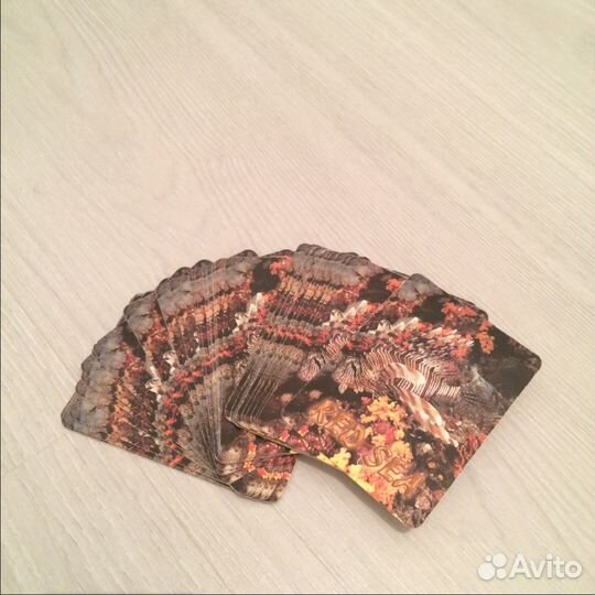 Карты игральные Рыбы Красного моря