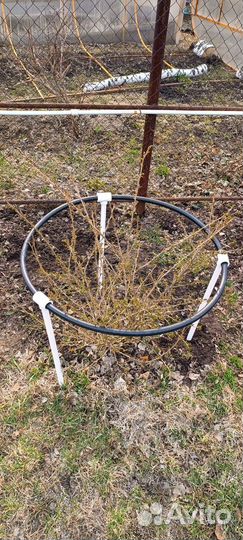 Опора для растений Кустодержатель