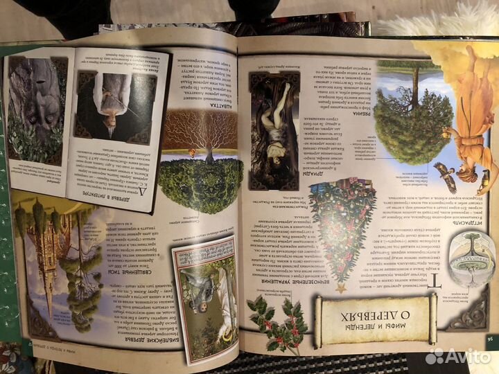 Детская серия книг Деревья,Войны,Рим