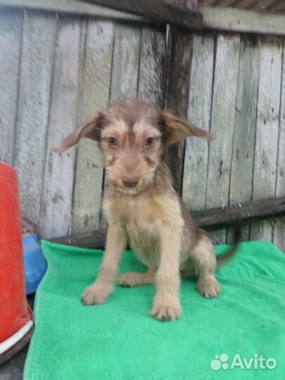 Малышка 3 месяца