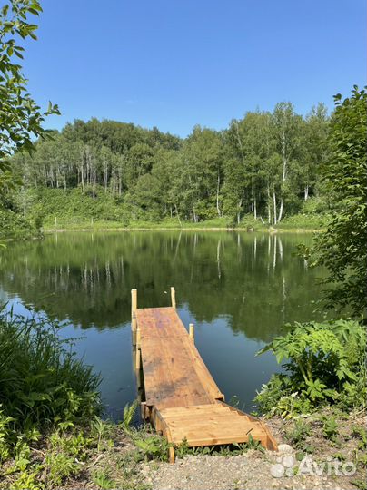 Мёд дягилевый