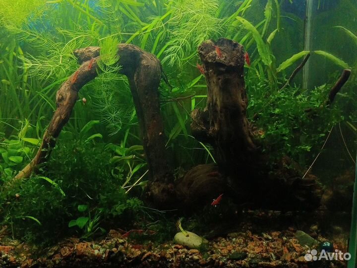Коряга для аквариума