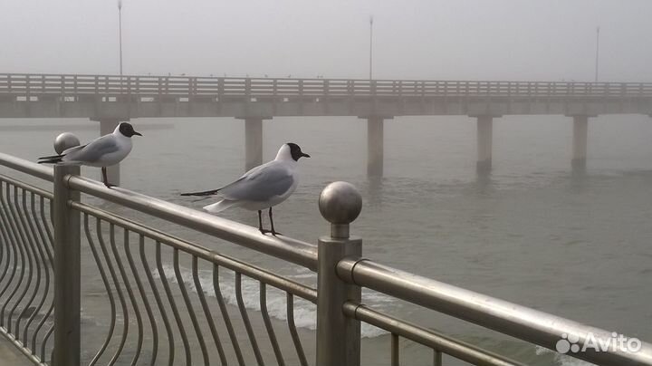 Экскурсии, гид, экскурсовод, индивидуально