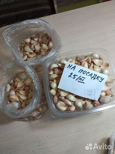 Чеснок летний продам