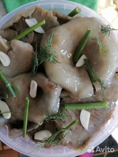 Грибы грузди соленые, маслёнок солено-маринованный