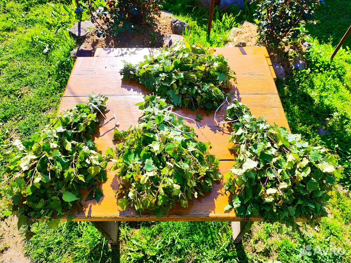 Веники для бани