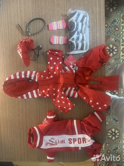 Клмплект одежды для маленькой породы собачки