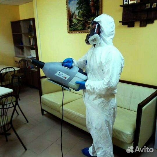 Дезинсекция