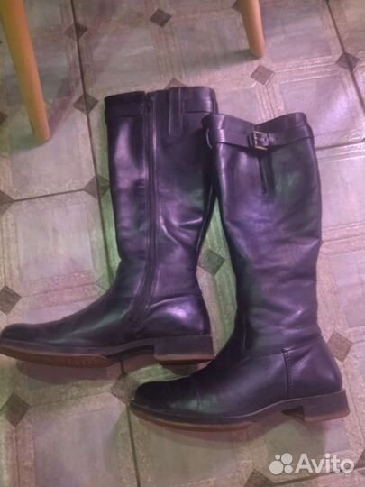 Сапоги женские Ecco