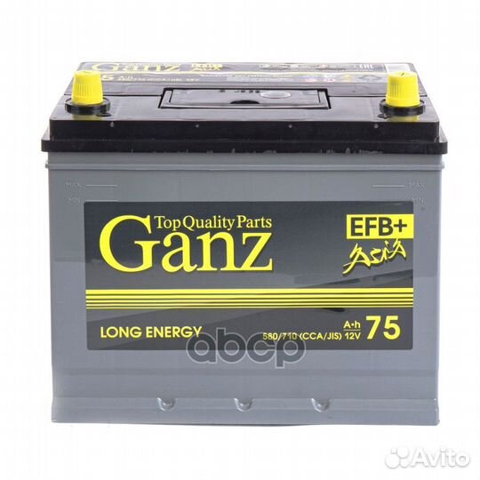 Аккумуляторная батарея gaefba750 ganz