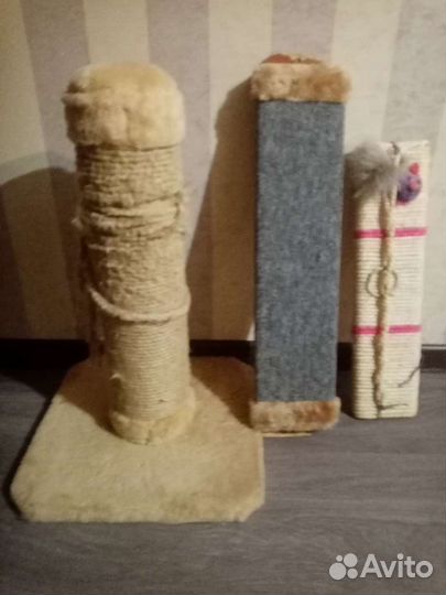 Когтеточка