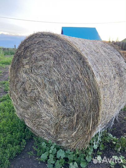 Продам сено в тюках
